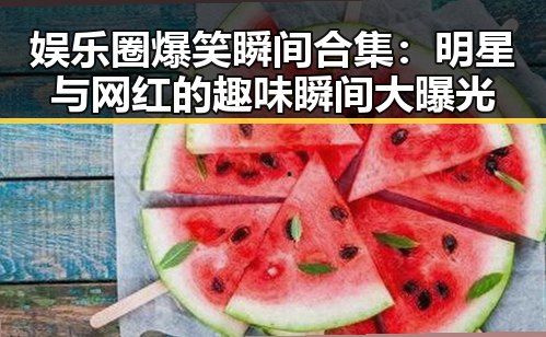 娱乐圈爆笑瞬间合集：明星与网红的趣味瞬间大曝光
