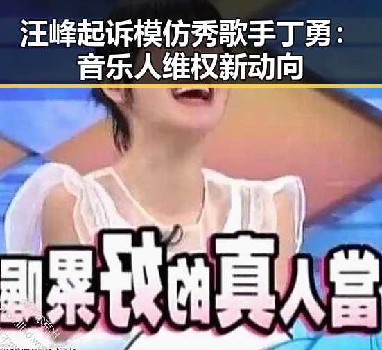 汪峰起诉模仿秀歌手丁勇:音乐人维权新动向