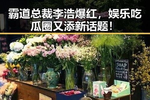 霸道总裁李浩爆红，娱乐吃瓜圈又添新话题！