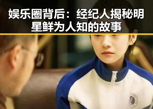 娱乐圈背后:经纪人揭秘明星鲜为人知的故事